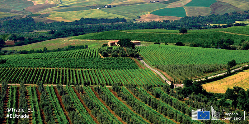 Vineyards