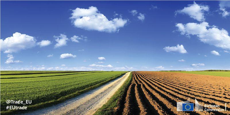 Italy - Italian organic fertilisers crack the South American market 